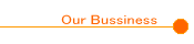 OUR BUSSINESS